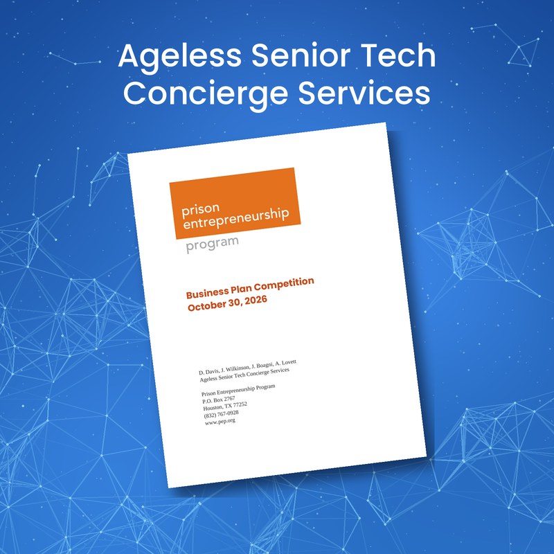Ageless Senior Tech Concierge Services business plan cover